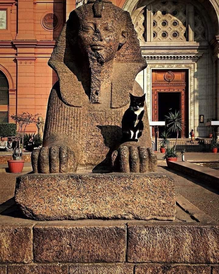 Tuthmosis III as Sphinx Statue