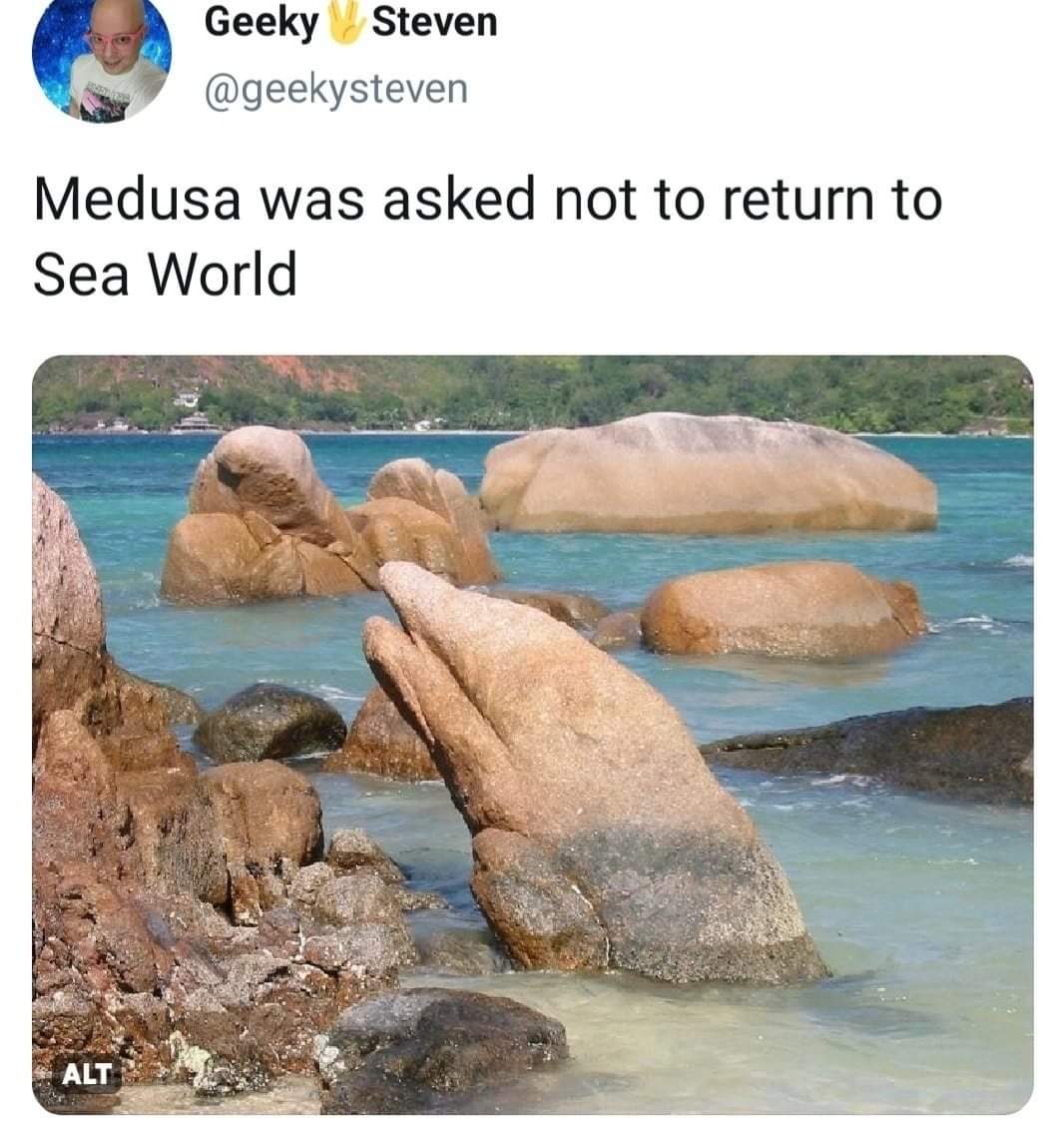 Sad dolphin noises
