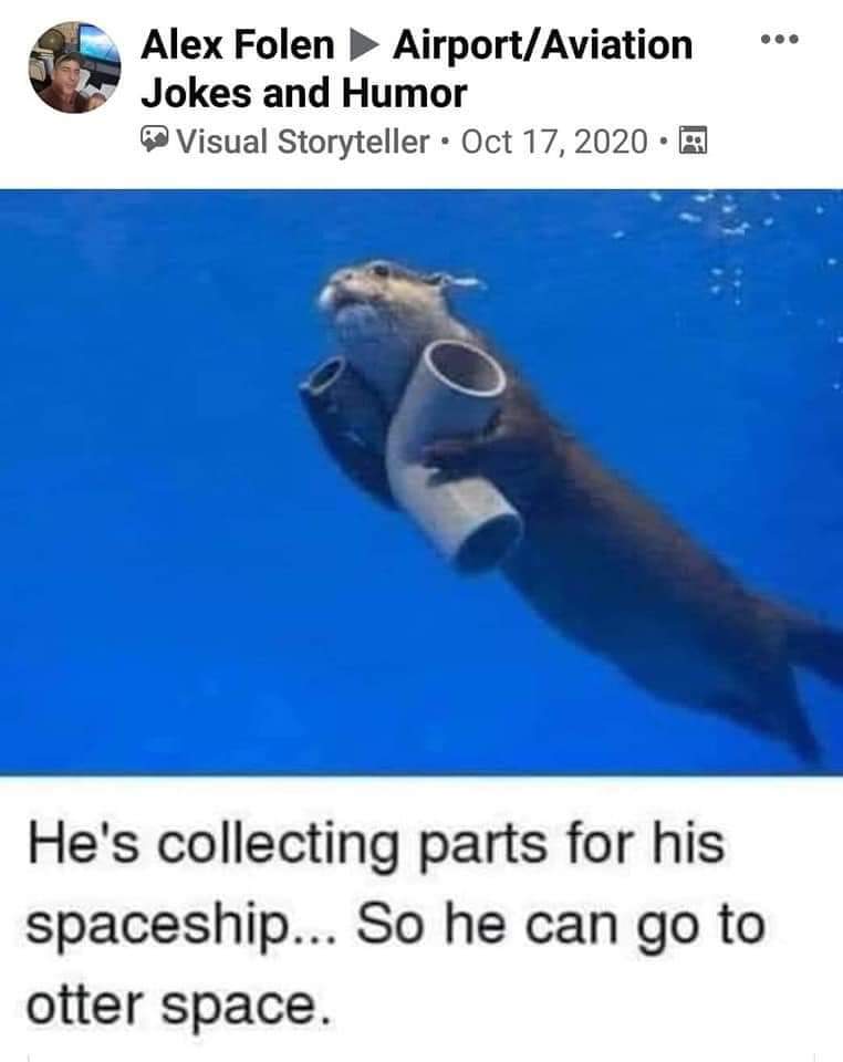 Otter space