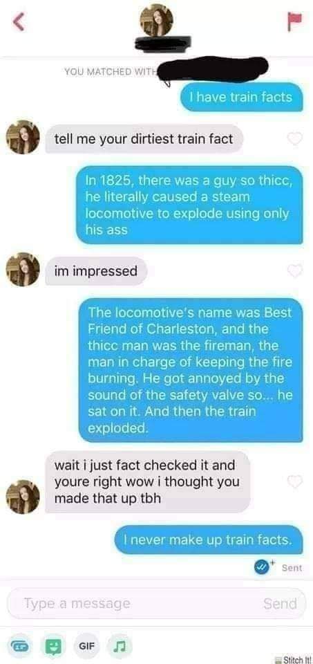 Train facts