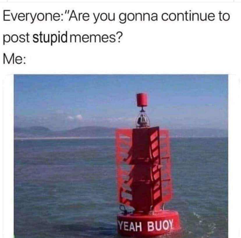Everyone you gonna continue to post stupid memes?