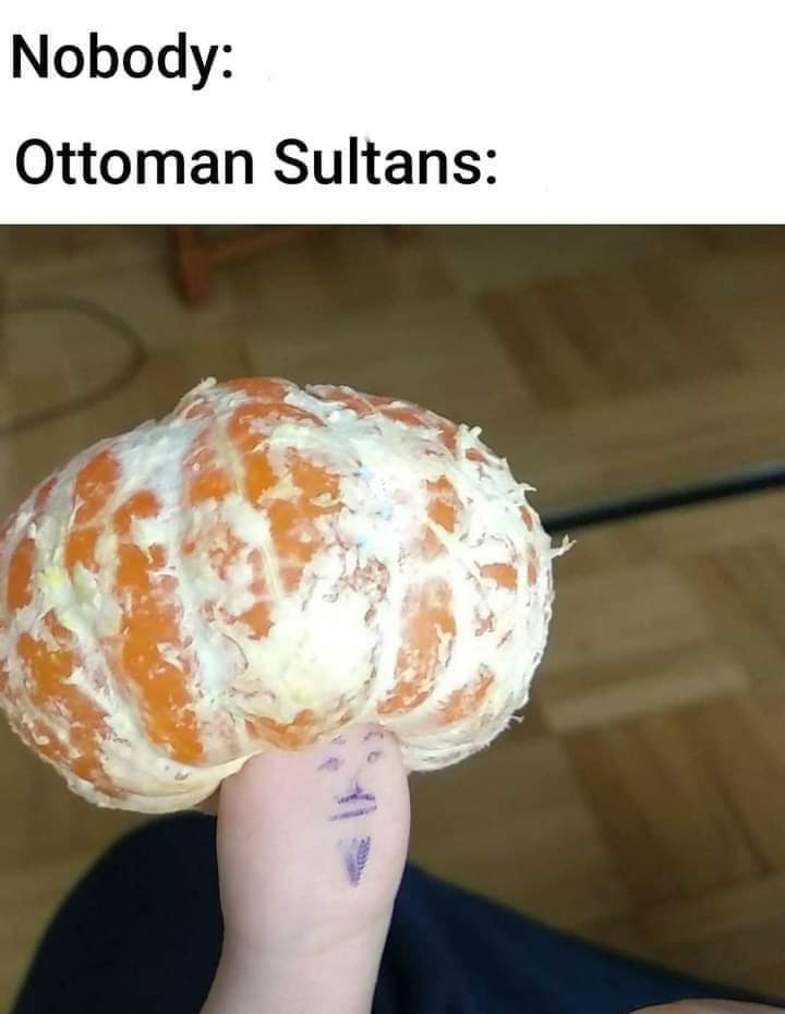 Ottoman Sultans