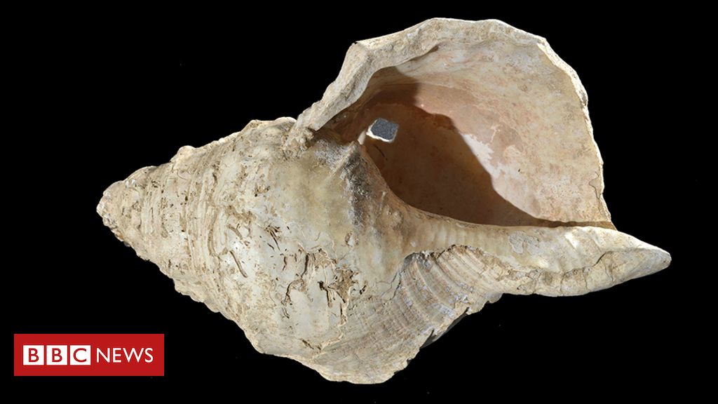 Ancient hunter-gatherer seashell resonates after 17,000 years