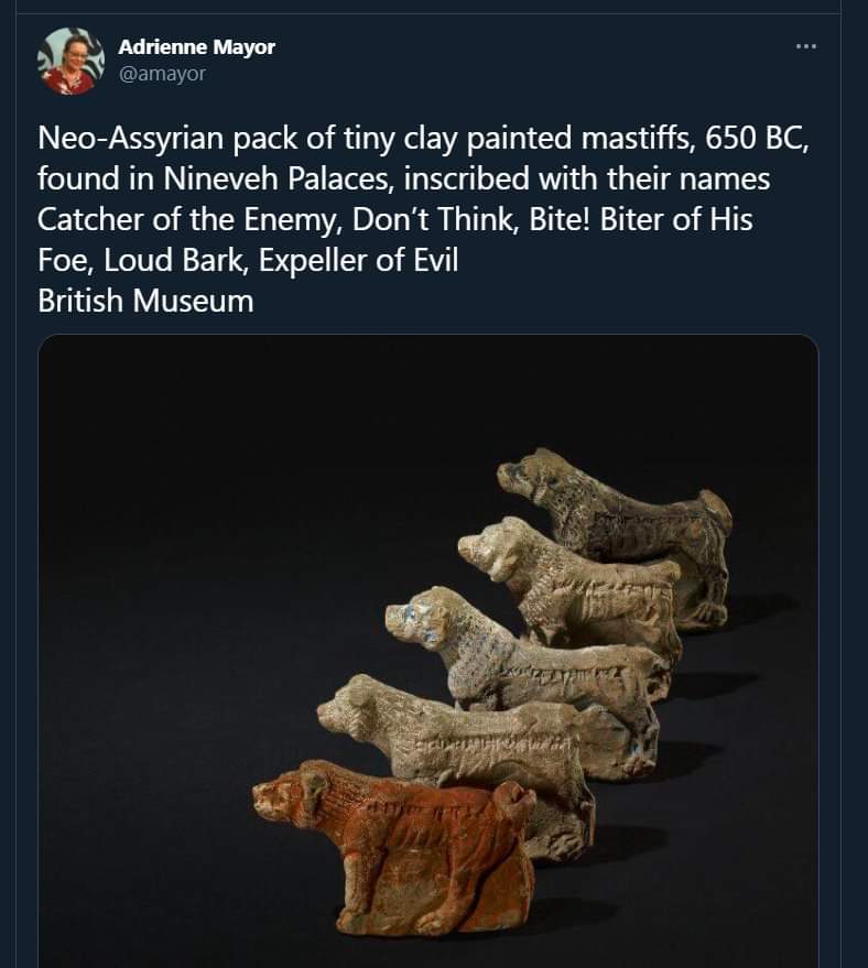 Assyrian doggos