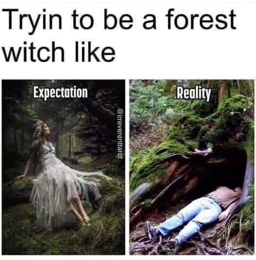 Trying to be a forest witch like