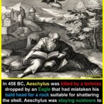 Aeschylus death by tortoise falling object prophecy eagle bald head