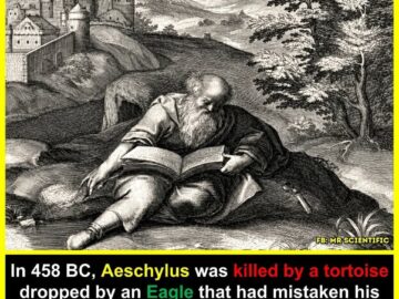 Aeschylus death by tortoise falling object prophecy eagle bald head