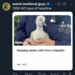 Tweet about 1350 AD headlines - Keeping swans safe from catapults