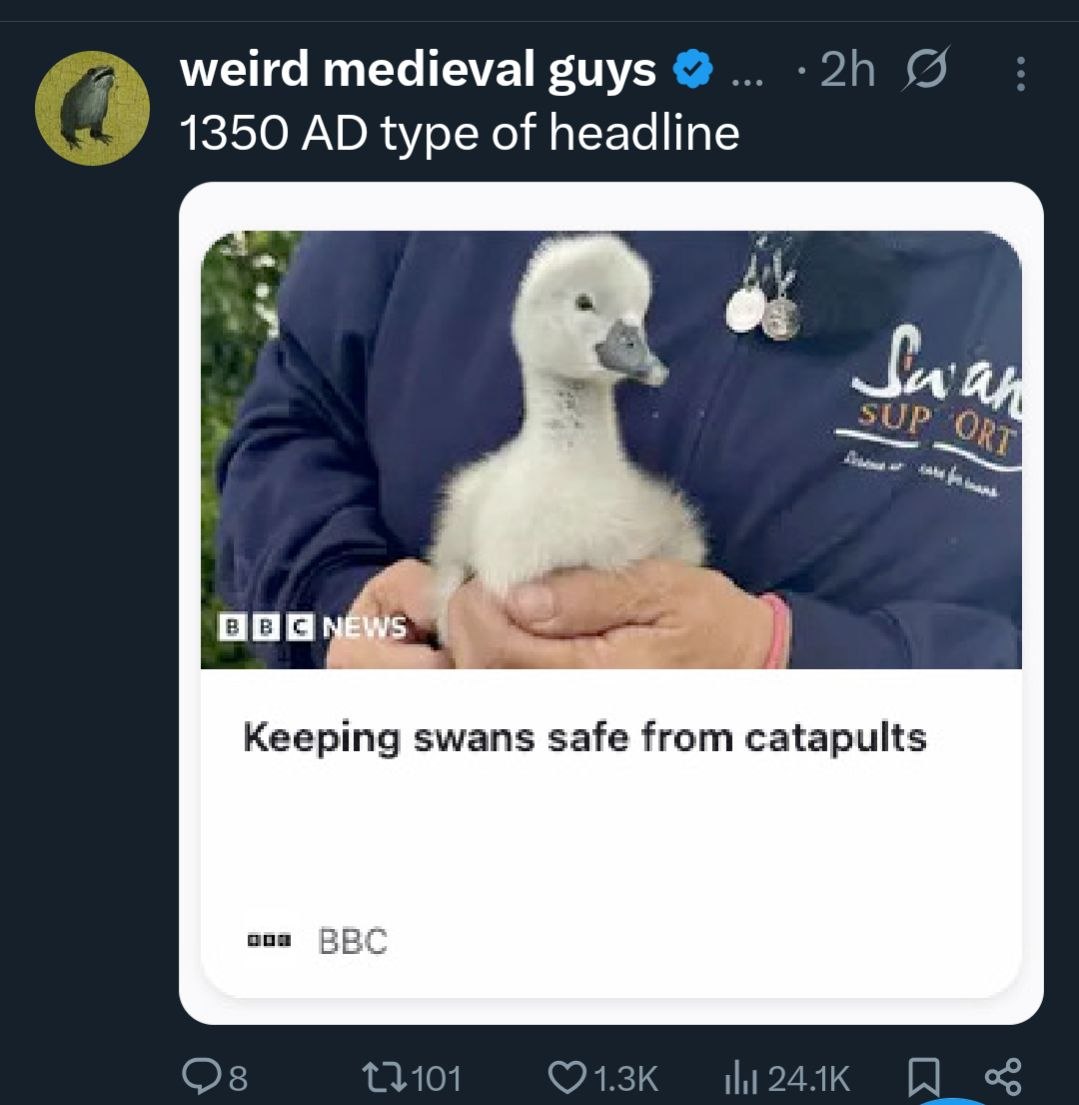Tweet: Keeping swans safe from catapults - 1350 AD type of headline