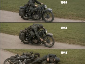 WW2 timeline infographic showing key events from 1939 to 1945