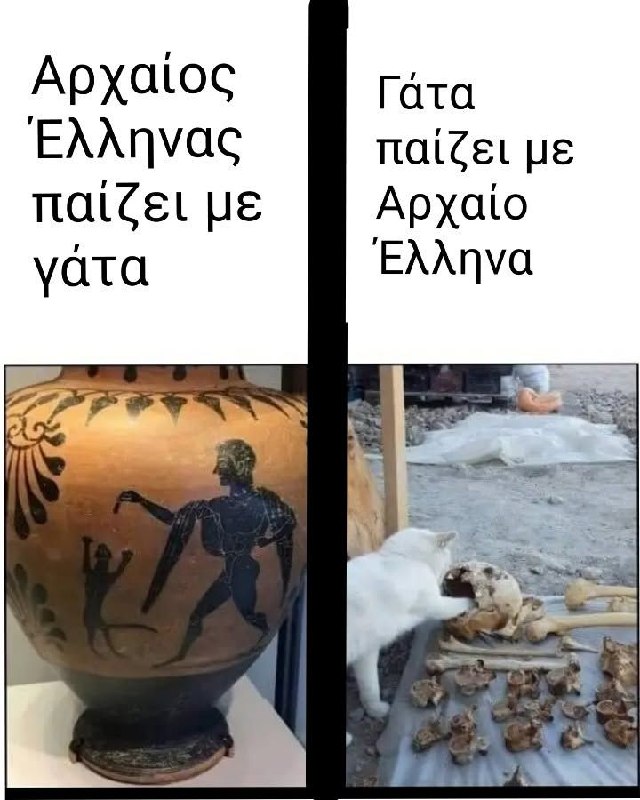 Ancient Greek cat meme