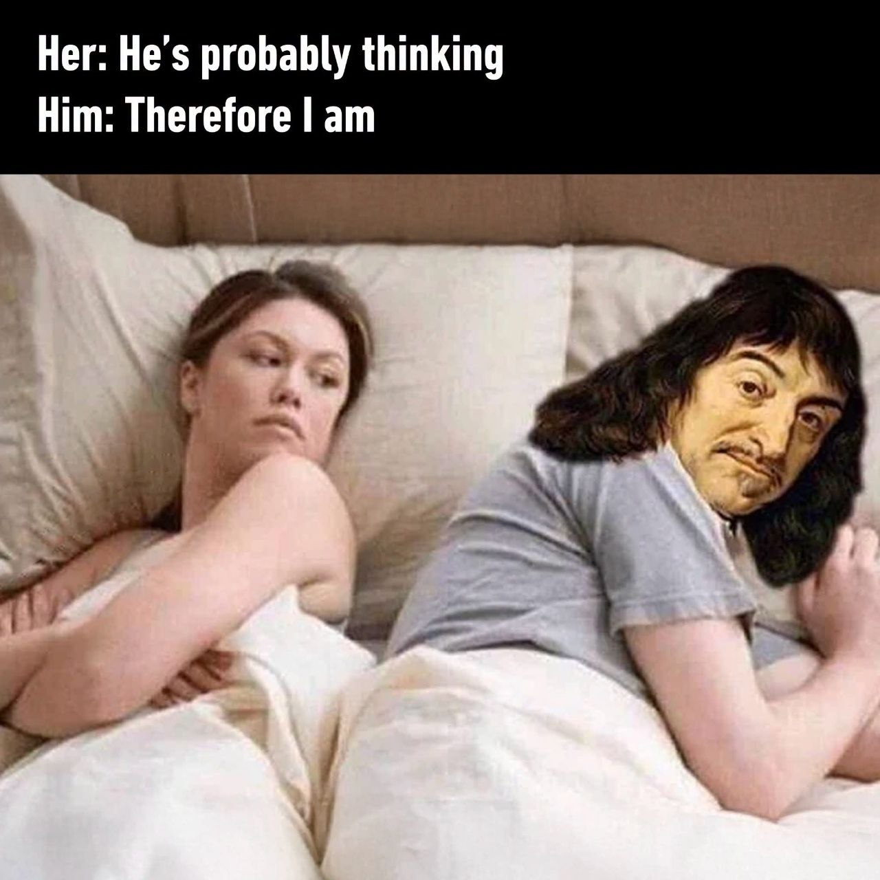 Descartes cogito ergo sum meme
