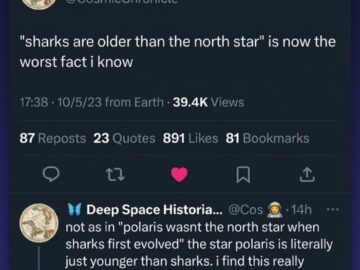 Meme image to analyze