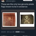 YouTube post about the only two genuine pirate flags