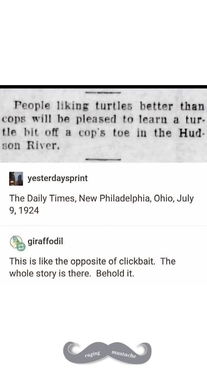 1924 newspaper clipping - turtle bites cops toe